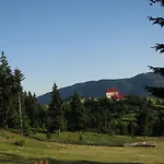 Kamyanka 3*