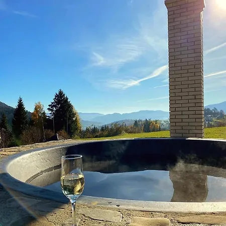 Θέρετρο Kamyanka Mizhhirya (Transcarpathia)