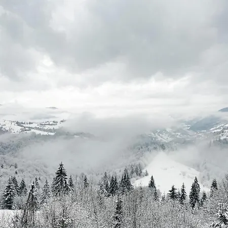 Kamyanka 리조트 3*