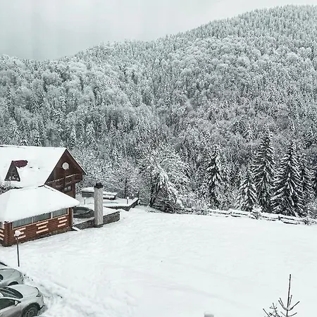 камянка