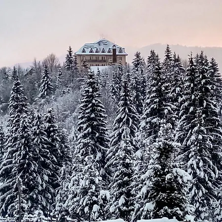 Kamyanka Resort Mizhhirya (Transcarpathia)