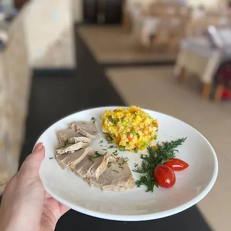 Kamyanka 3* Mizhhirya (Transcarpathia)