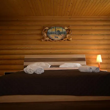 Kamyanka Θέρετρο 3*