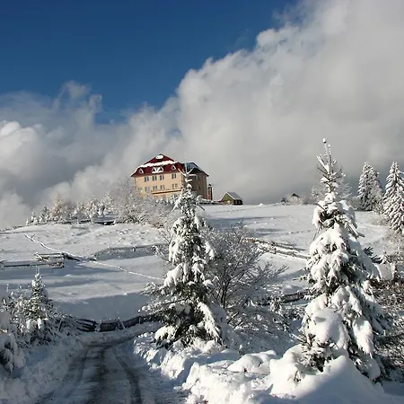 Θέρετρο Kamyanka 3*