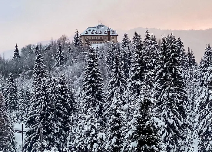 Kamyanka Resort Mizhhirya (Transcarpathia)