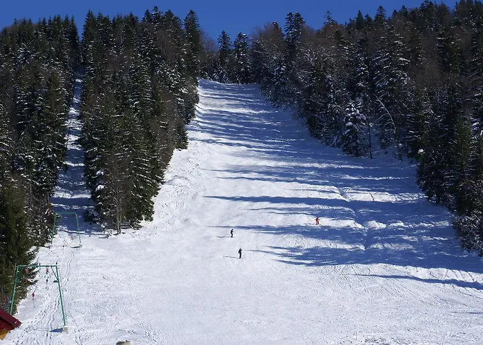 Kamyanka Semesteranläggning (resort) 3*