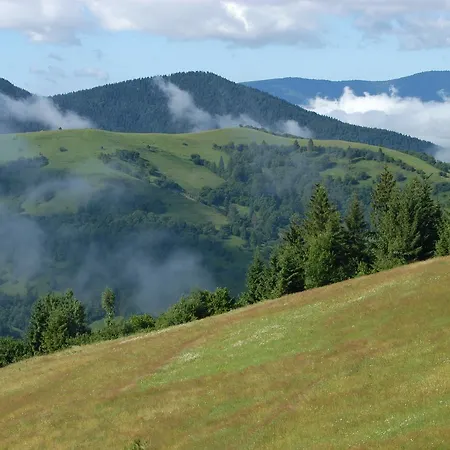 Kamyanka
